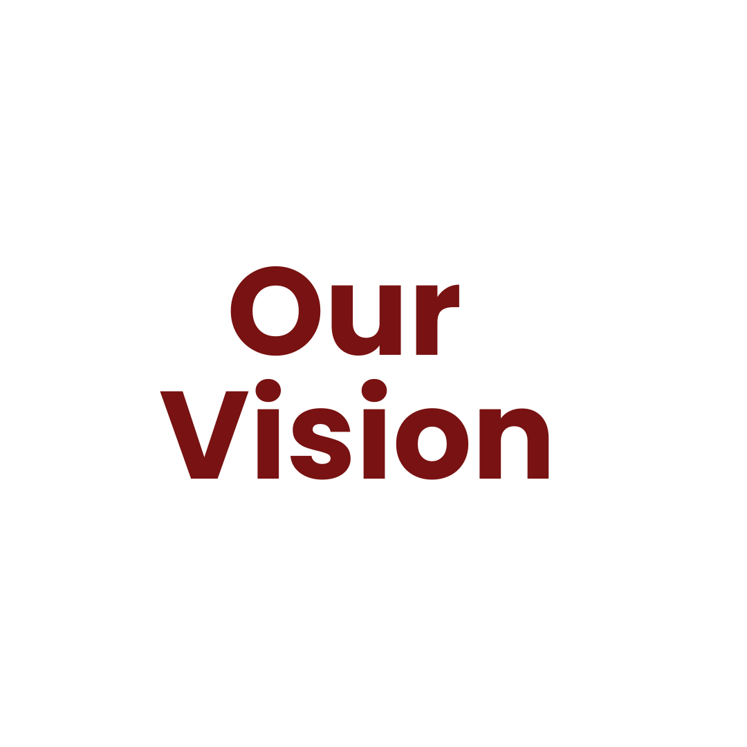 Our Vision